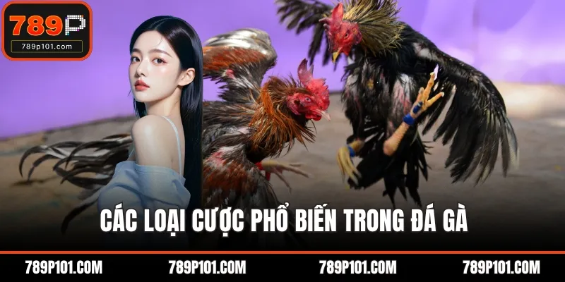 Các loại cược phổ biến trong đá gà