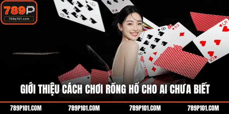 Giới thiệu cách chơi rồng hổ cho ai chưa biết
