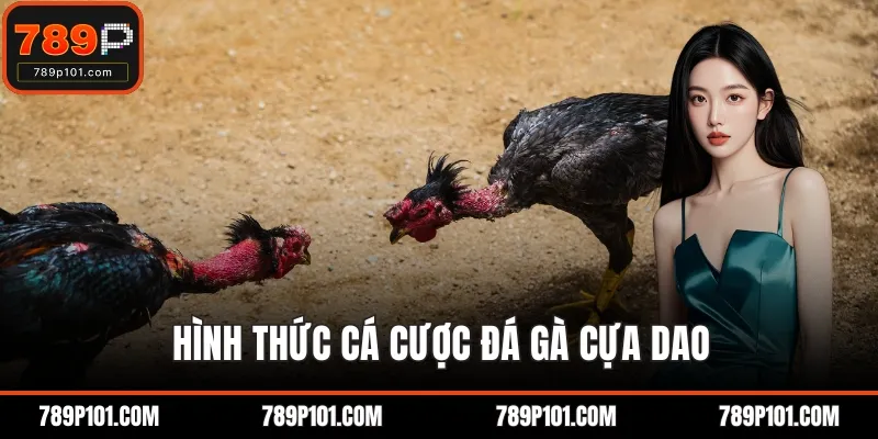 Hình thức cá cược đá gà cựa dao