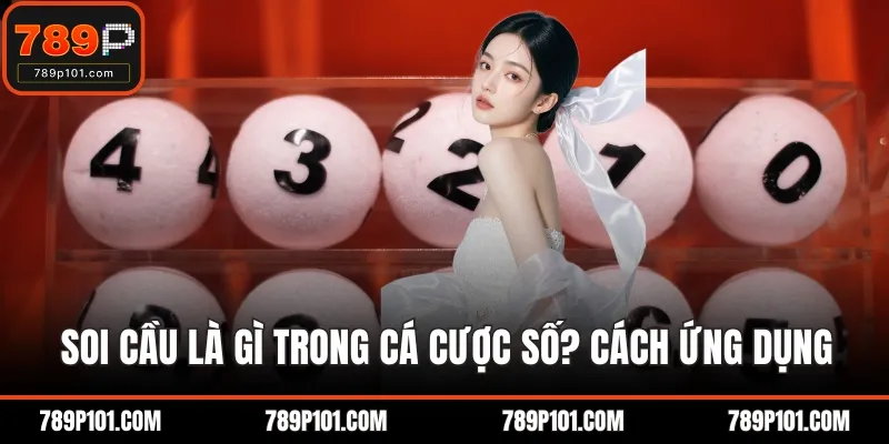 Soi cầu là gì trong cá cược số