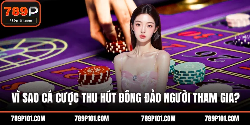 Vì sao cá cược thu hút đông đảo người tham gia?